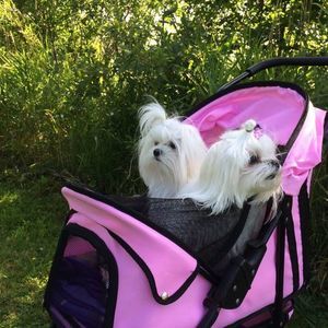 Meet your Posher, Marcelle